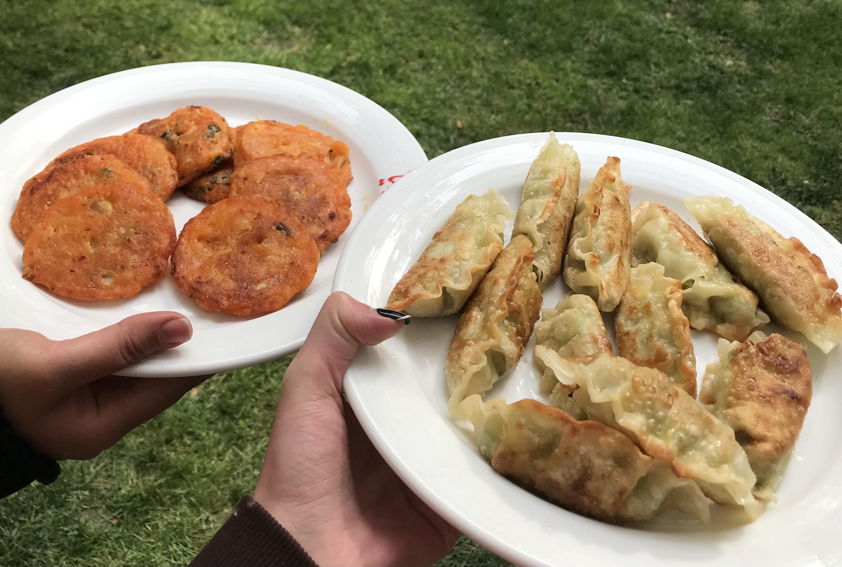 kimchi-jeon (left) and mandu (right)