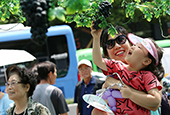 Grapes bring mid-summer smiles