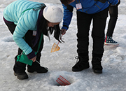 Hwacheon Sancheoneo Ice Festival