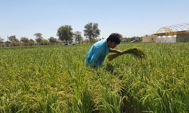 Korean agriculture to spread throughout world